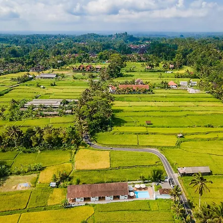 Aura Apartments Ubud Bagian luar foto