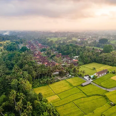 Aura Apartments Ubud Bagian luar foto