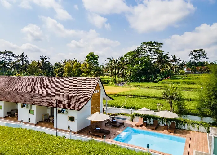 Aura Apartments Ubud