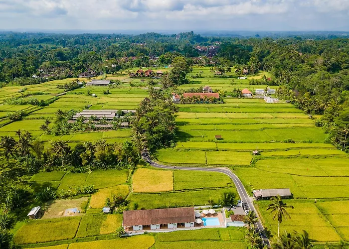 Aura Apartments Ubud