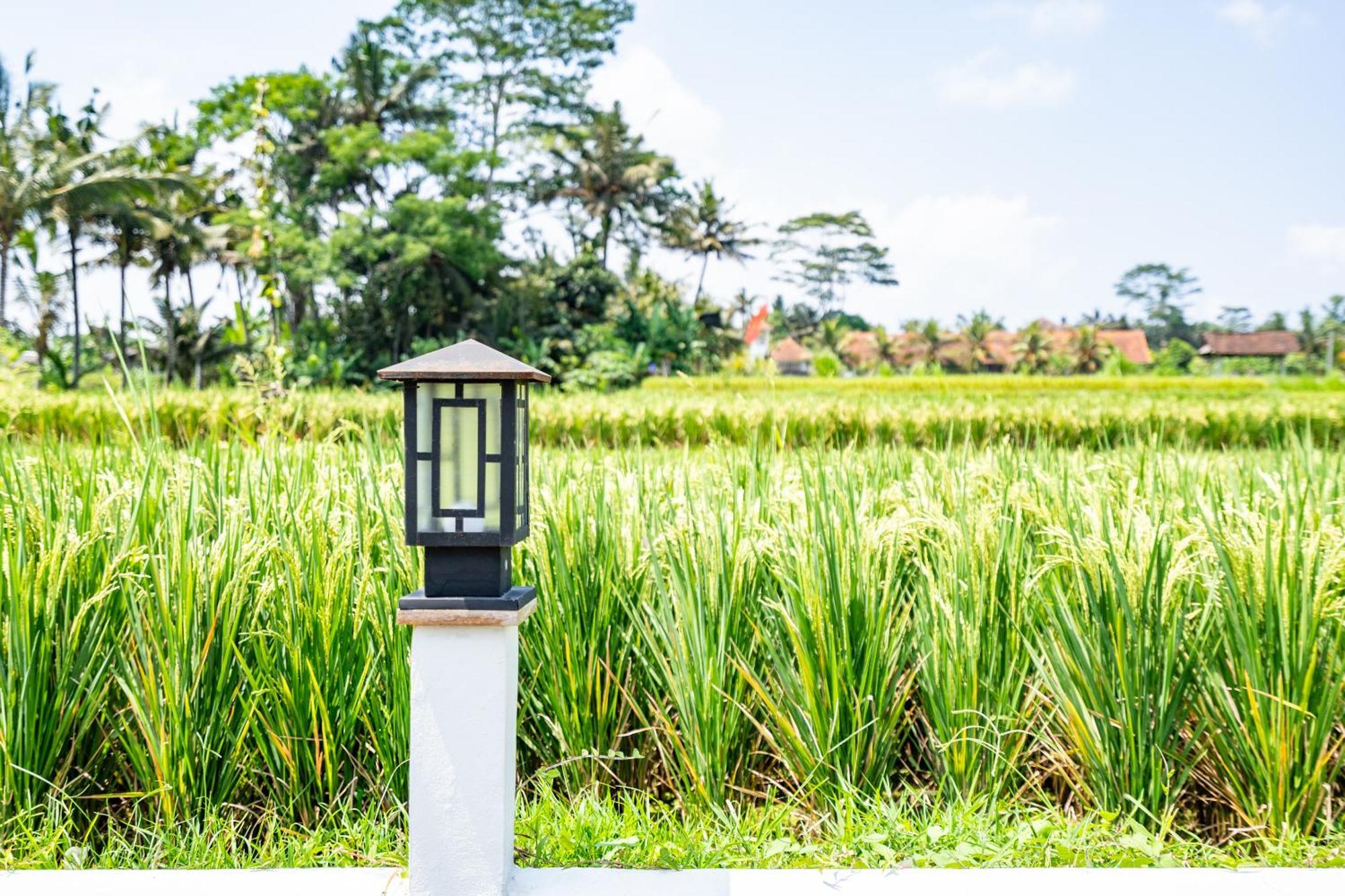 Aura Apartemen Ubud (Bali)